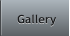 Gallery Gallery