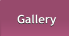 Gallery Gallery